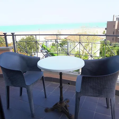 Hotel Nettunia Rimini