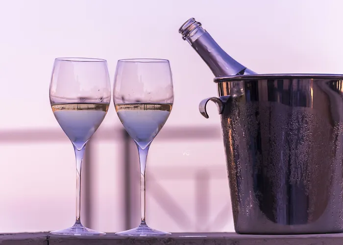 Nettunia 酒店 里米尼